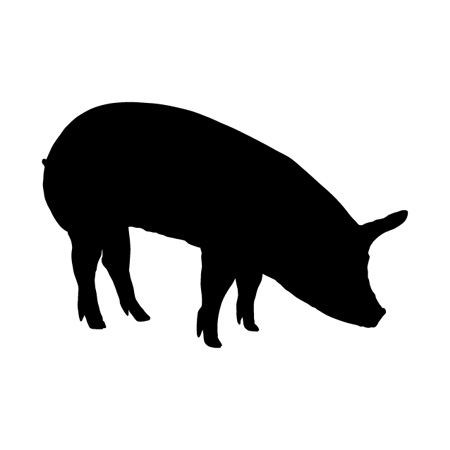 Pig Iron on Transfer